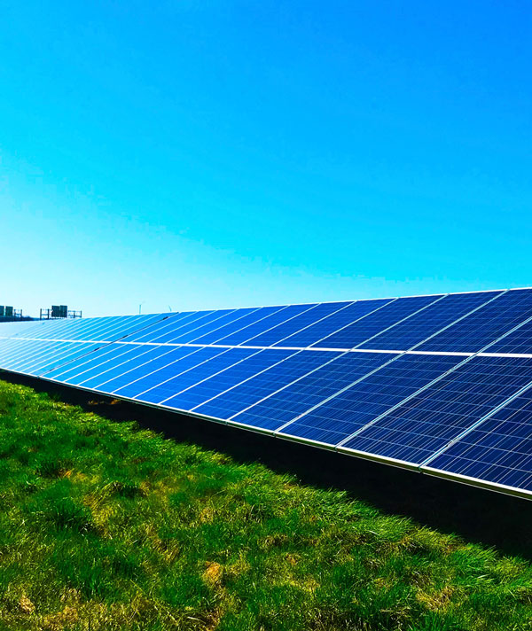 panneaux solaires sur une pelouse verte