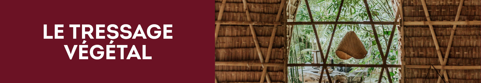 Le bambou, une ressource naturelle aux multiples usages - Blog jardin